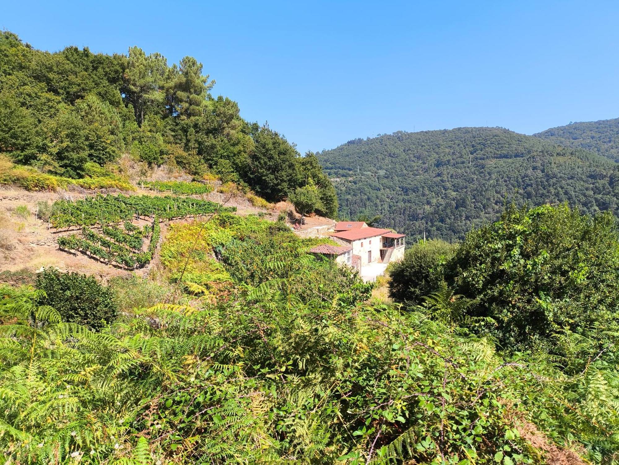 Xiravai-Ribeira Sacra Villa Peares Exterior photo
